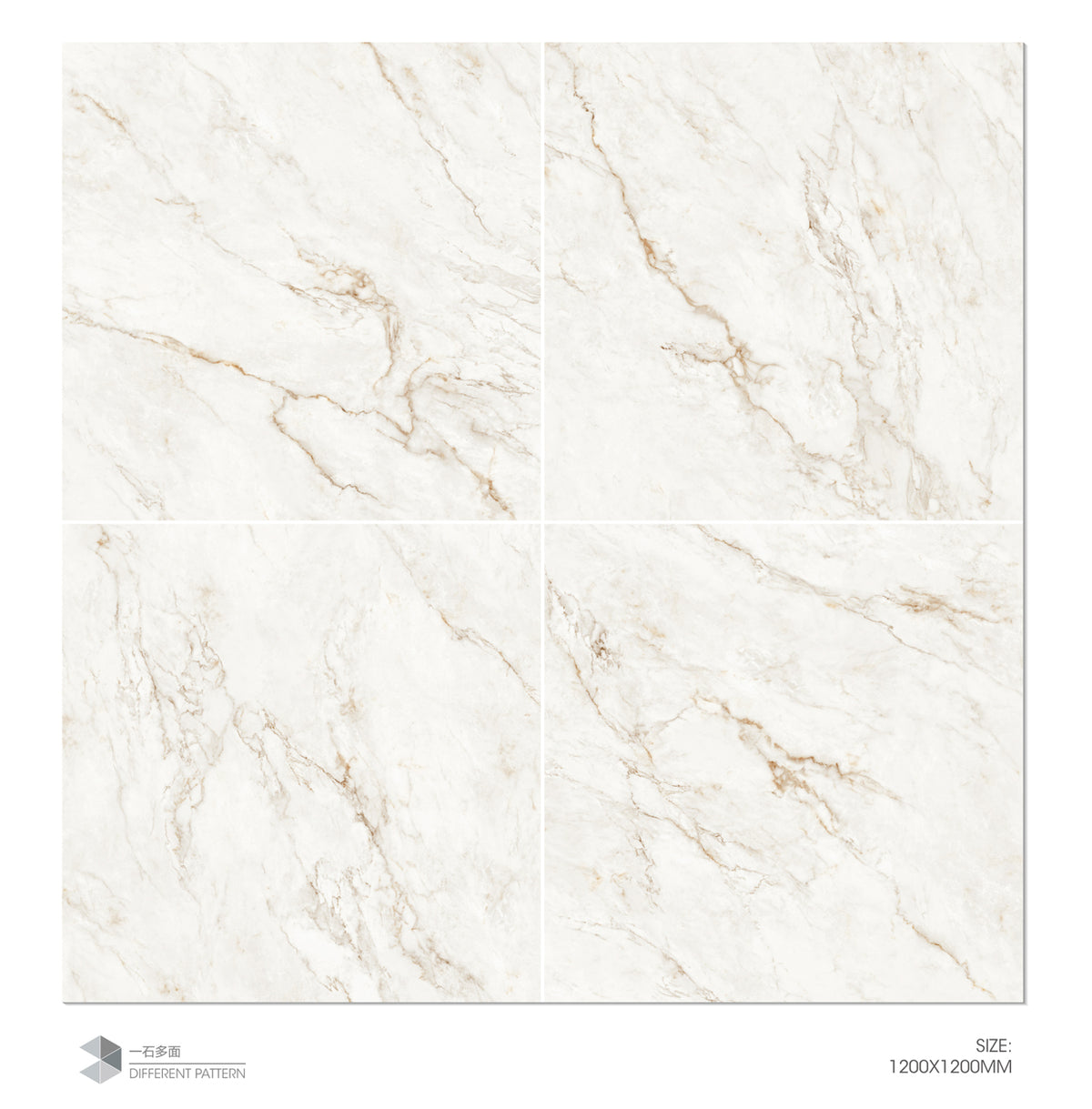 YCQ-Y121211
