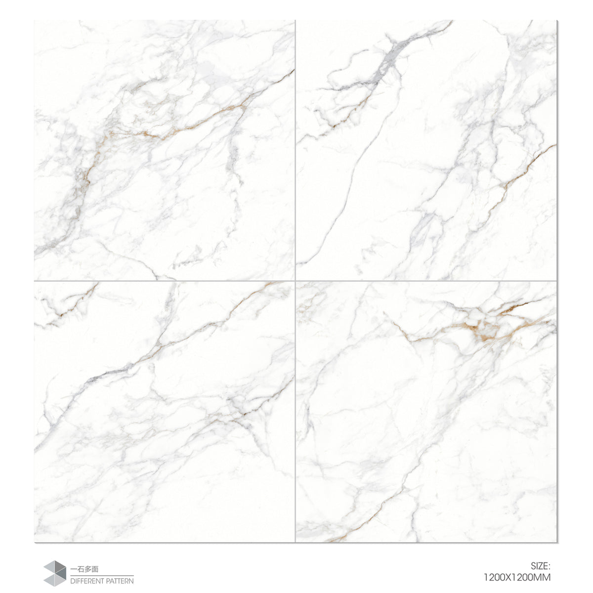 YCQ-DH121227